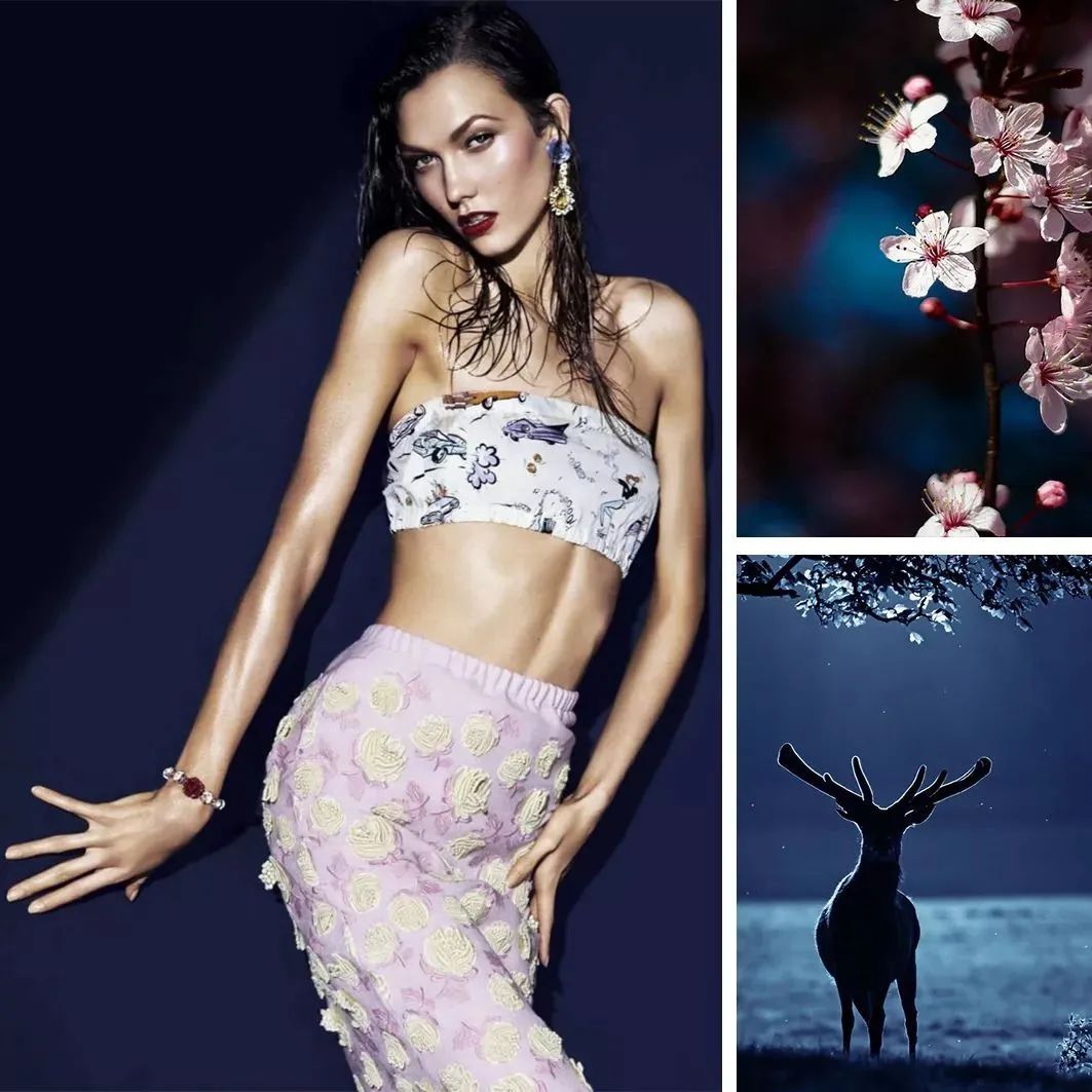 2020秋冬流行色 2020秋冬流行色